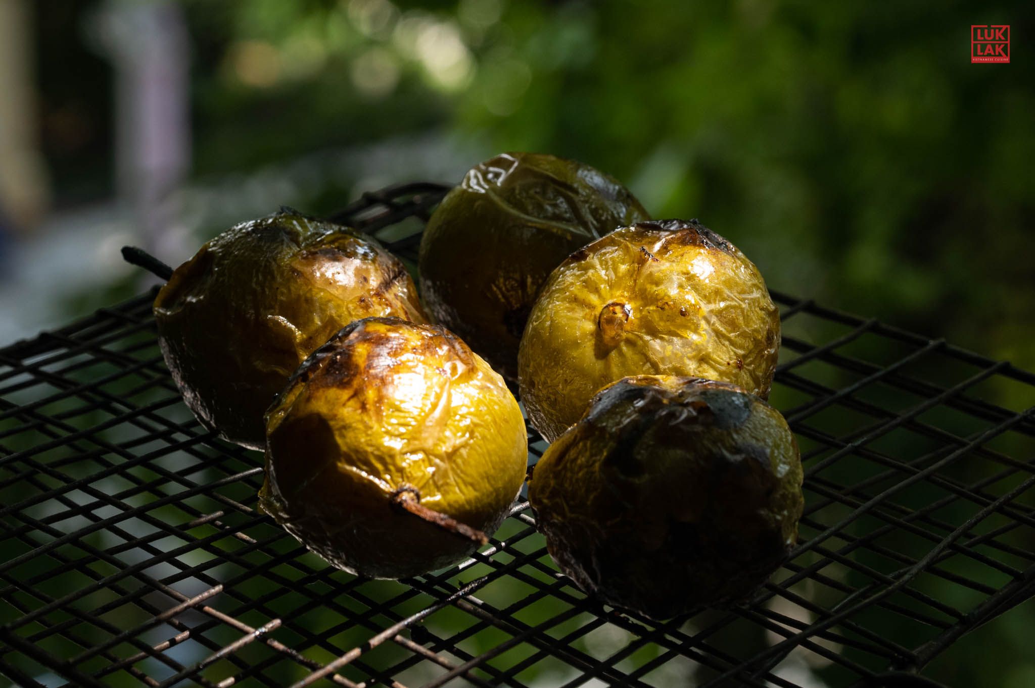 HÀ NỘI MÙA XUÂN CHÍN