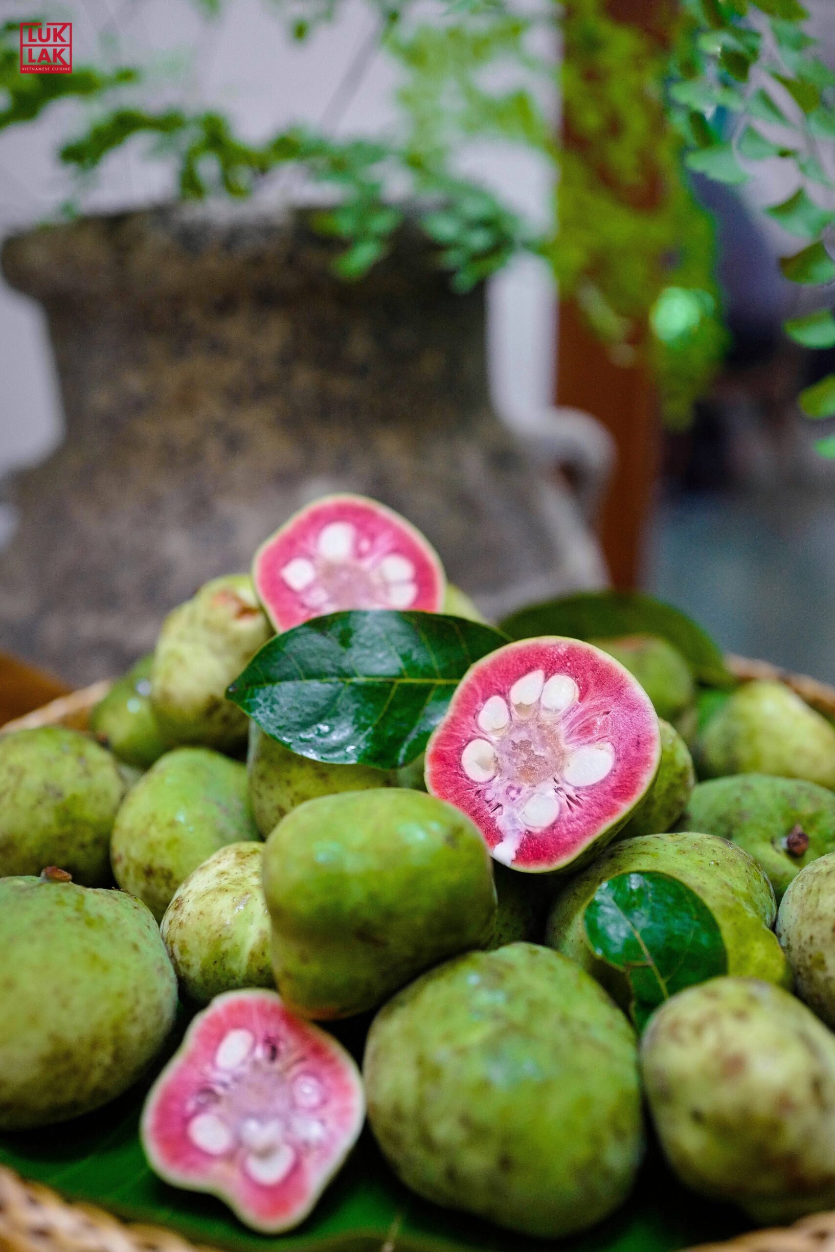 Mùa chay hồng Luk Lak